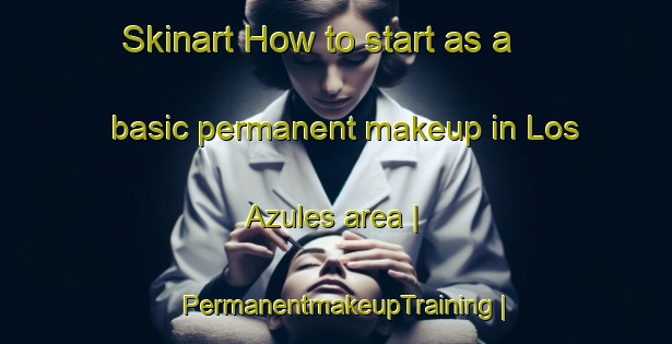 Skinart How to start as a basic permanent makeup in Los Azules area | PermanentmakeupTraining | PermanentmakeupClasses | SkinartTraining-Mexico
